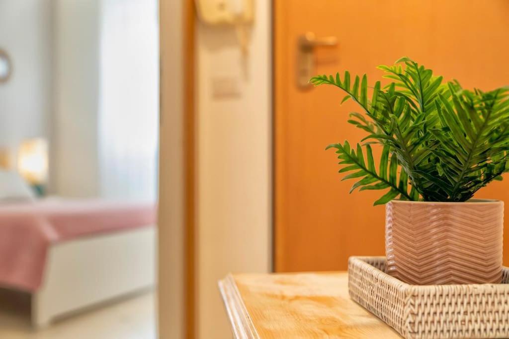 Antine 54 - Magnolia Holidays Alghero Eksteriør billede